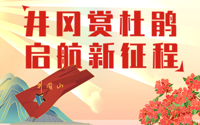 井岡山第十四屆杜鵑花節