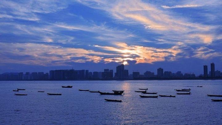 沿著茶香，尋浙溫暖